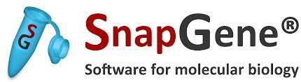 SnapGene 6.1.2 Crack + Registration Code Free Download 2023